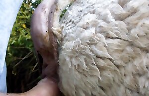 Phim khiêu dâm chó miễn phí với thú tính mạnh mẽ